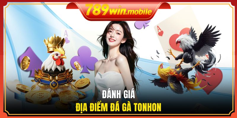 Đánh giá địa điểm chọi gà Tohon