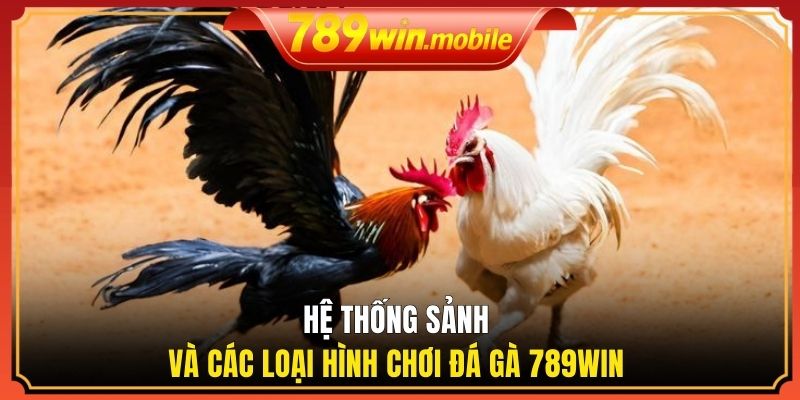 Cách thức hoạt động của trang web trực tuyến đá gà  