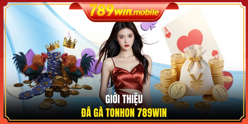 Tìm hiểu về hình thức đá gà Tonhon